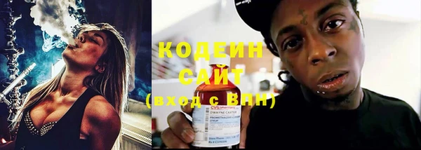 шишки Михайлов