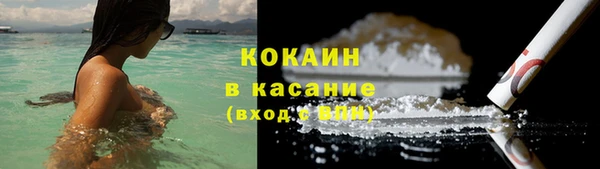 шишки Михайлов