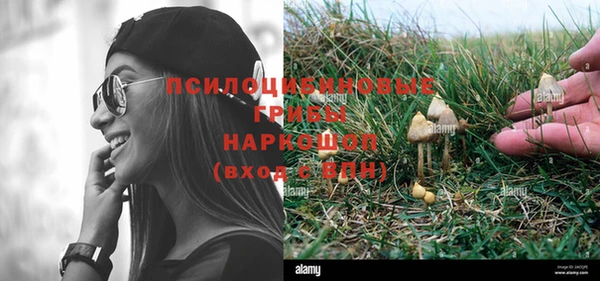 apvp Артём