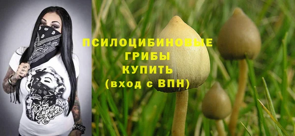 apvp Артём